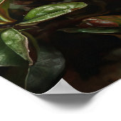 Rote Azalea Blume Art Print Poster (Ecke)