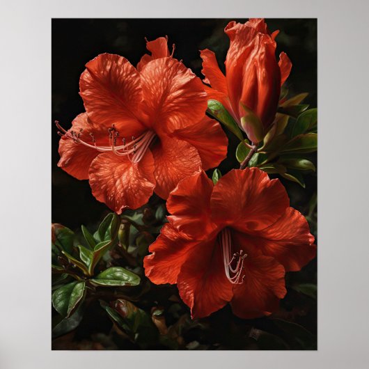 Rote Azalea Blume Art Print Poster (Vorne)