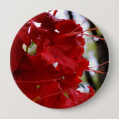Rote Azalea Blume Button (Vorderseite)
