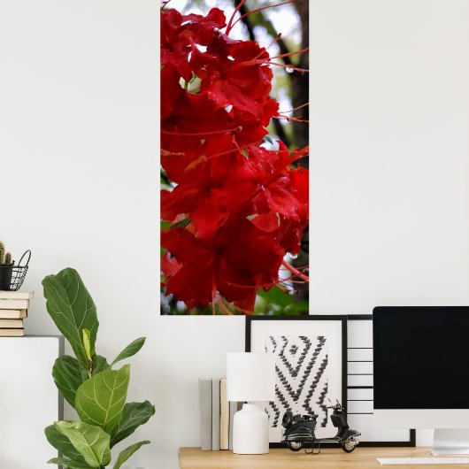 Rote Azalea Blume Poster (Heimbüro)