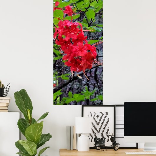 Rote Azalea Blume Poster (Heimbüro)