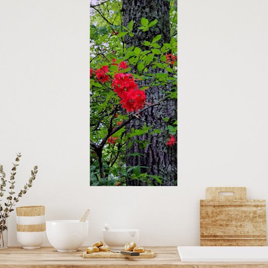 Rote Azalea Blume Poster (Küche)