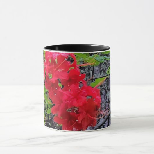 Rote Azalea Blume Tasse (Zentrum)