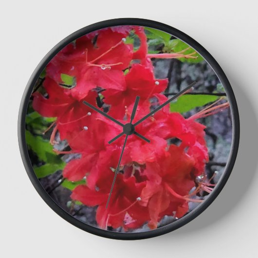 Rote Azalea Blume Uhr (Vorderseite)