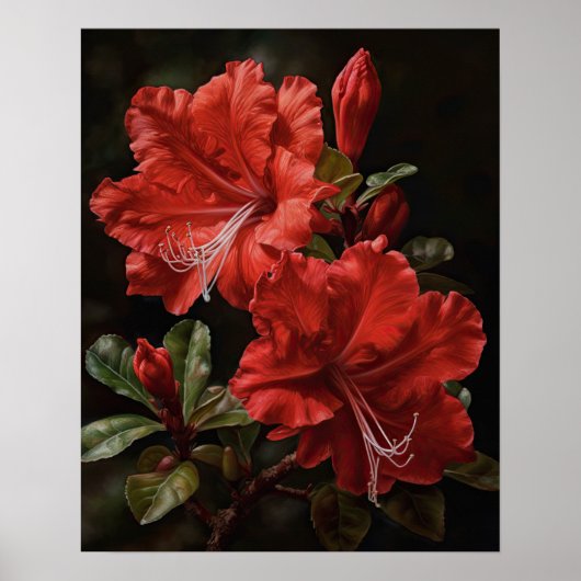 Rote Azaleen-Blumen Kunstposter Poster (Vorne)