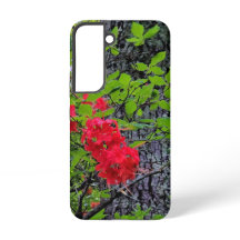 Rote Azaleenblüten