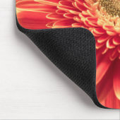 Rote Barberton Gerbera-Gänseblümchen-Blume Mousepad (Ecke)