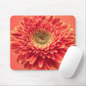 Rote Barberton Gerbera-Gänseblümchen-Blume Mousepad (Mit Mouse)