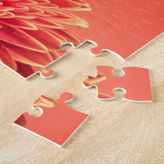 Rote Barberton Gerbera-Gänseblümchen-Blume Puzzle (Seite)