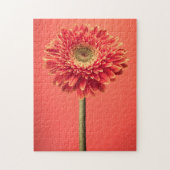 Rote Barberton Gerbera-Gänseblümchen-Blume Puzzle (Vertikal)