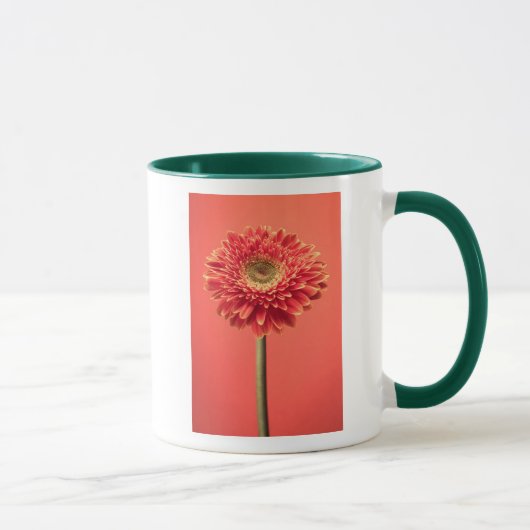 Rote Barberton Gerbera-Gänseblümchen-Blume Tasse (Rechts)