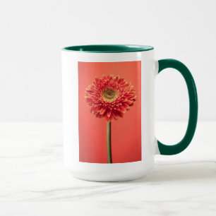 Rote Barberton Gerbera-Gänseblümchen-Blume Tasse