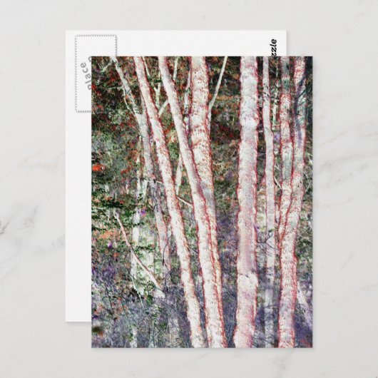Rote Bäume Postkarte (Vorne/Hinten)