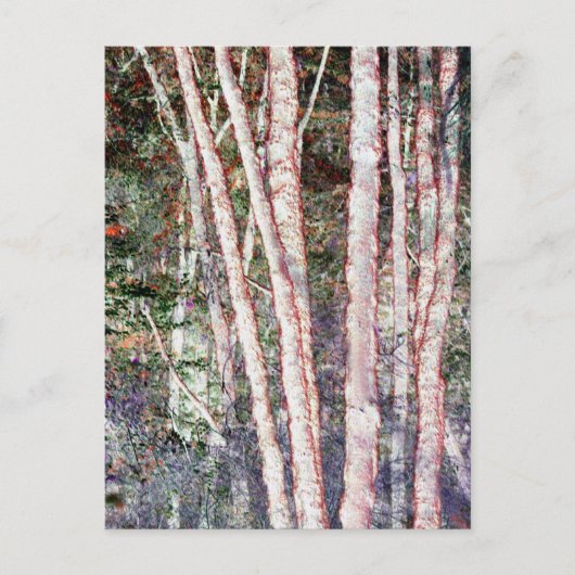Rote Bäume Postkarte (Vorderseite)