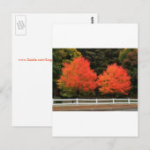 Rote Bäume Postkarte (Vorne/Hinten)