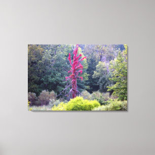 Rote Baumlandschaft Szene (Wrapped Canvas Print) Leinwanddruck