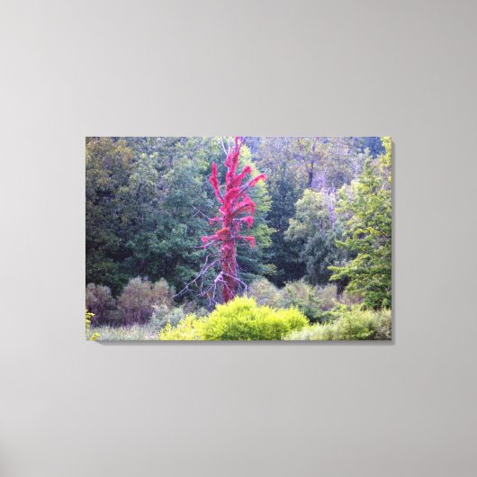 Rote Baumlandschaft Szene (Wrapped Canvas Print) Leinwanddruck (Vorderseite)