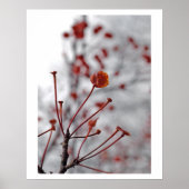 Rote Beere Poster (Vorne)