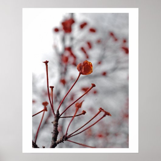 Rote Beere Poster (Vorne)