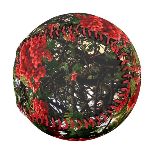 Rote Beeren Baseball (Vorne Rechts)