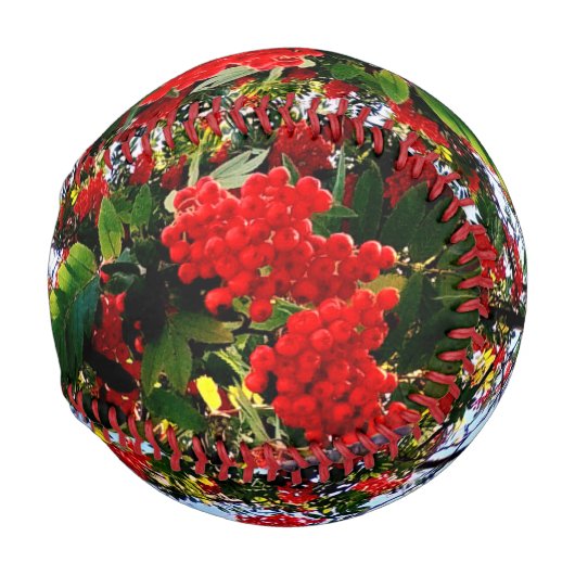 Rote Beeren Baseball (Vorne Rechts)