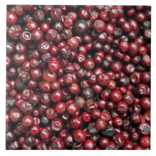 Rote Beeren des Himalaja Fliese