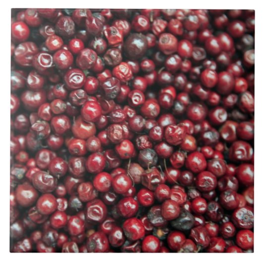 Rote Beeren des Himalaja Fliese (Vorderseite)