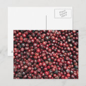 Rote Beeren des Himalaya Postkarte (Vorne/Hinten)