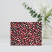 Rote Beeren des Himalaya Postkarte (Stehend Vorderseite)