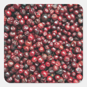 Rote Beeren des Himalaya Quadratischer Aufkleber