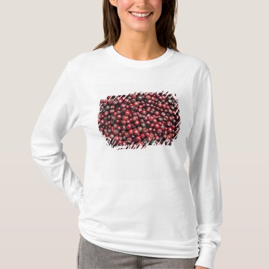 Rote Beeren des Himalaya T-Shirt (Vorderseite)