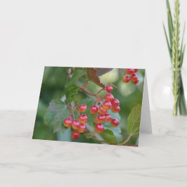 Rote Beeren Feiertagskarte
