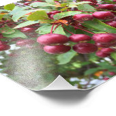 rote Beeren Fotodruck (Ecke)