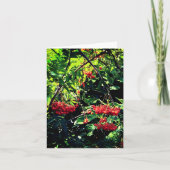 Rote Beeren Karte (Vorderseite)