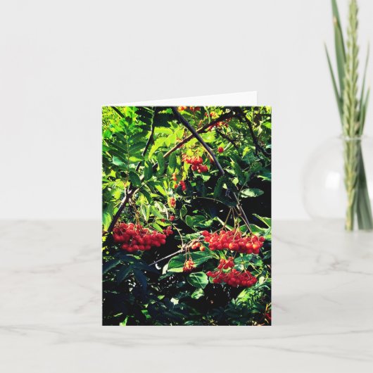 Rote Beeren Karte (Vorderseite)