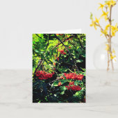 Rote Beeren Karte (Gelbe Blume)