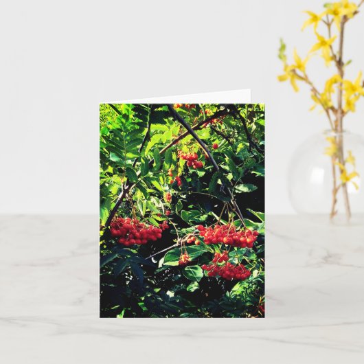 Rote Beeren Karte (Gelbe Blume)