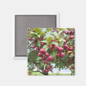 rote Beeren Magnet (Vorderseite/Rückseite)