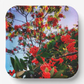 Rote Beeren Pappteller (Vorderseite)