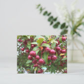 rote Beeren Postkarte (Stehend Vorderseite)