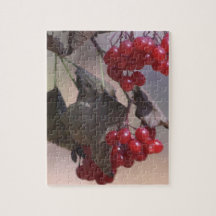 Rote Beeren