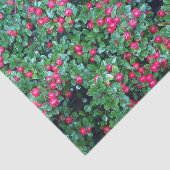 Rote Beeren Seidenpapier (Ausschnitt)