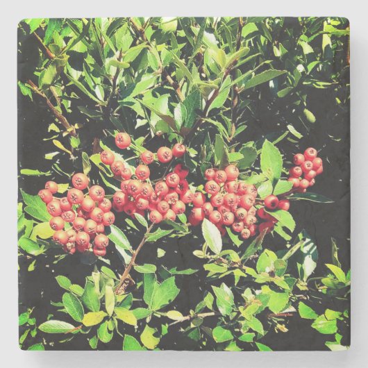 Rote Beeren Steinuntersetzer (Vorderseite)