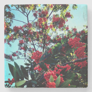 Rote Beeren Steinuntersetzer