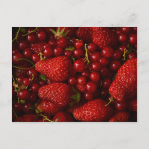 Rote Beeren und Erdbeeren Postkarte