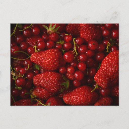 Rote Beeren und Erdbeeren Postkarte (Vorderseite)