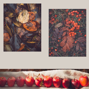 Rote Beeren und farbige Herbstblätter Bilderwand Sets