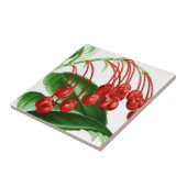 Rote Beeren, Vintag Fliese (Seite)