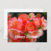 Rote Begonie-Blume zum Geburtstag Postkarte (Vorne/Hinten)