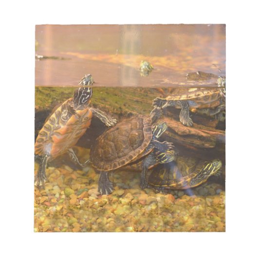 Rote Beliebte Schildkröte (Alabama) Notizblock (Vorderseite)